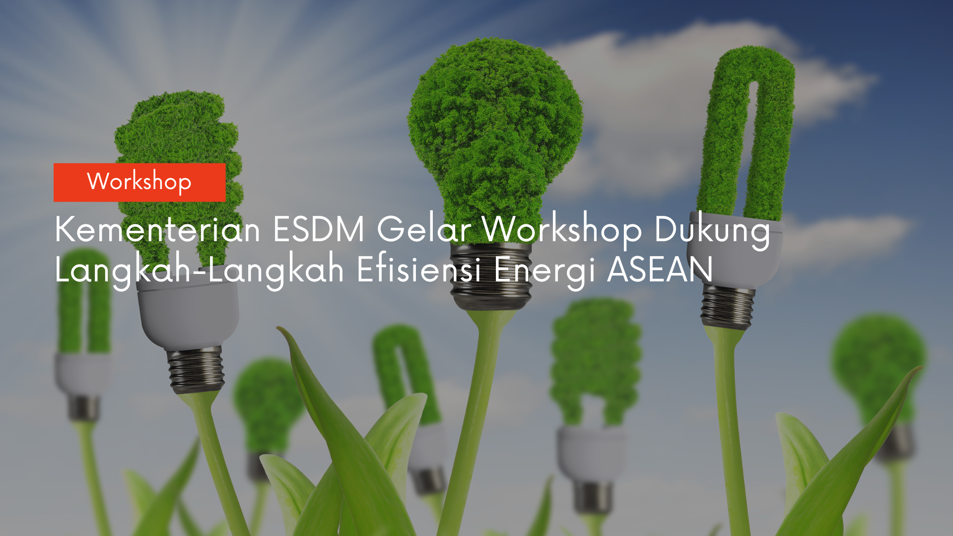 ESDM MENYELENGGARAKAN ASEAN ENERGY EFFICIENCY WORKSHOP