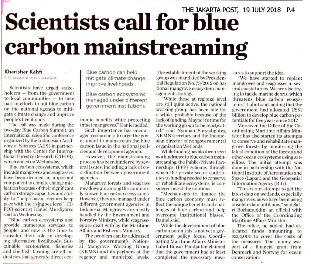Scientists call for blue carbon mainstreaming
