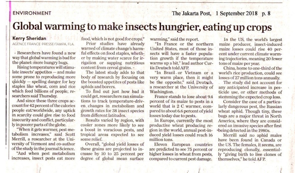 Global Warming to make insects hungries , eating up crops