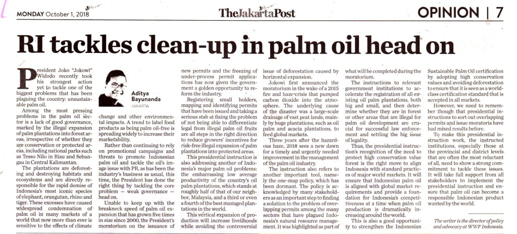 RI tackles clean-up in palm oil head on copy